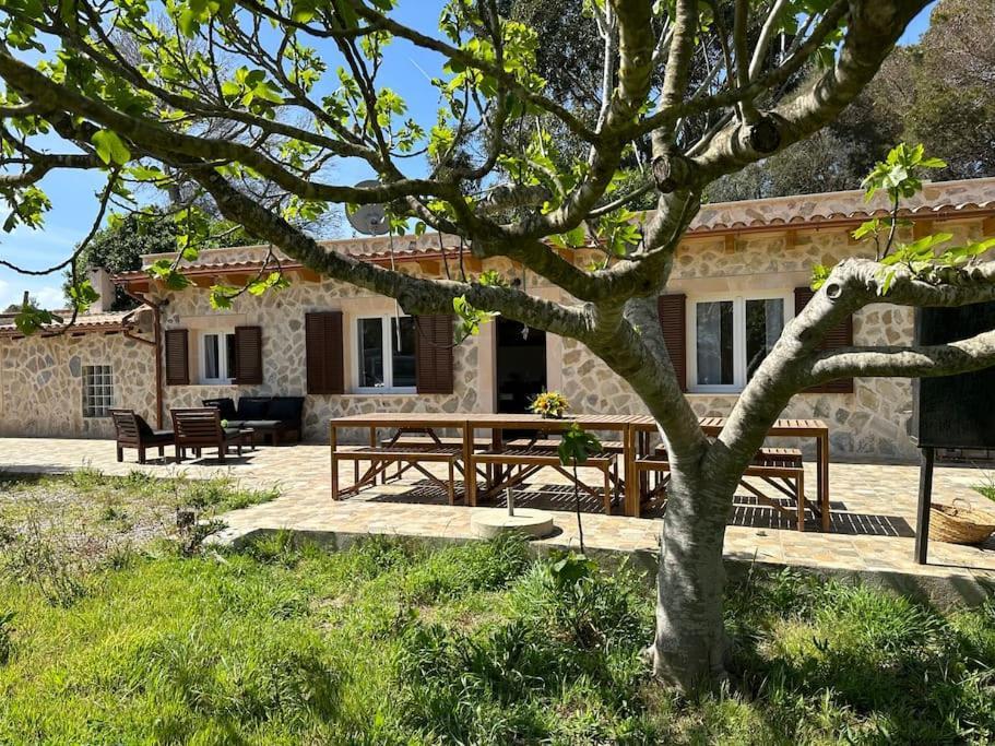 Finca Roberto Villa Can Picafort  Exterior foto